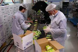 ضدعفونی کننده به قیمت کارخانه