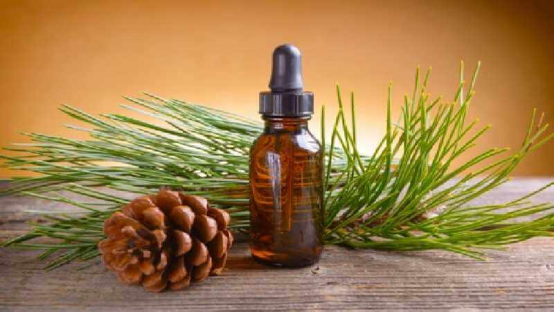 اسانس شوینده + خرید