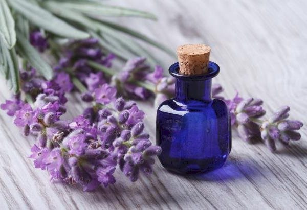 قیمت انواع اسانس