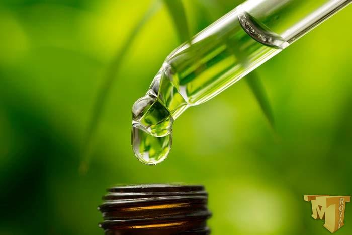 تامین کنندگان اسانس خارجی