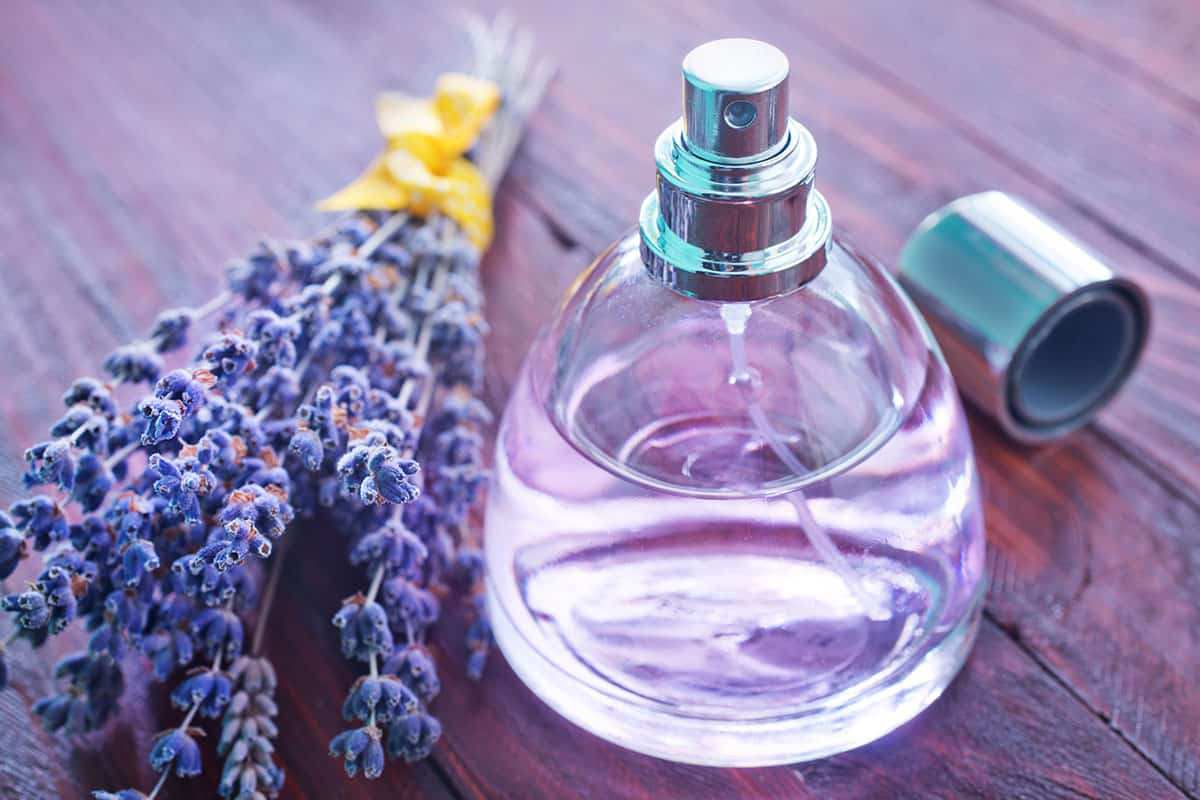 انواع اسانس + قیمت اسانس