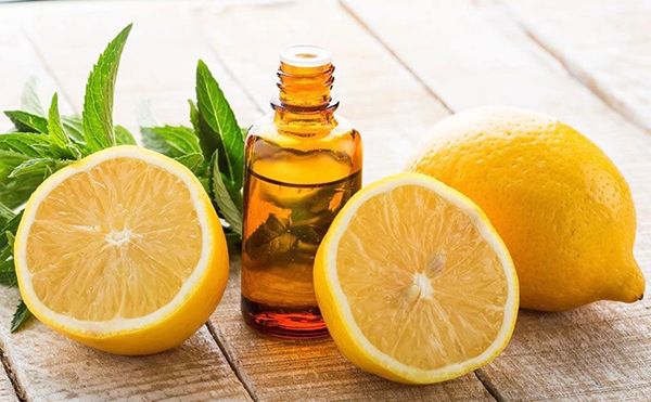 خرید بدون واسطه اسانس