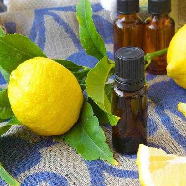 قیمت اسانس لیمو