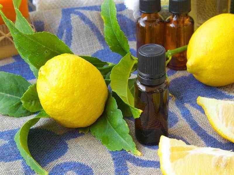 قیمت اسانس لیمو