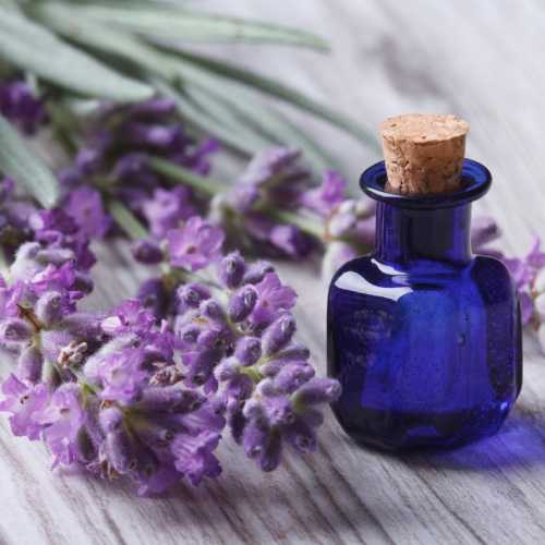 قیمت بهترین رنگ و اسانس